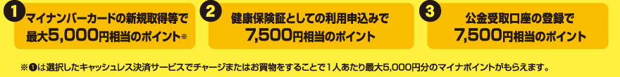 マイナポイント申請手順